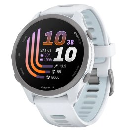 GARMIN Forerunner 170, Whitestone/Cloud Blue spordikell