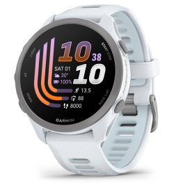 GARMIN Forerunner 170 Music, Whitestone/Cloud Blue spordikell